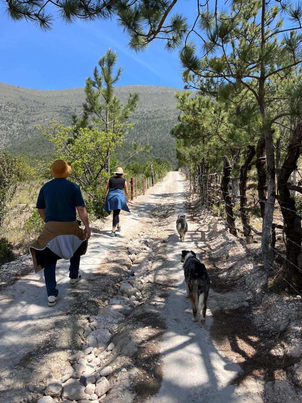 Camping En La Sierra De Arteaga Los Lirios Buitenkant foto