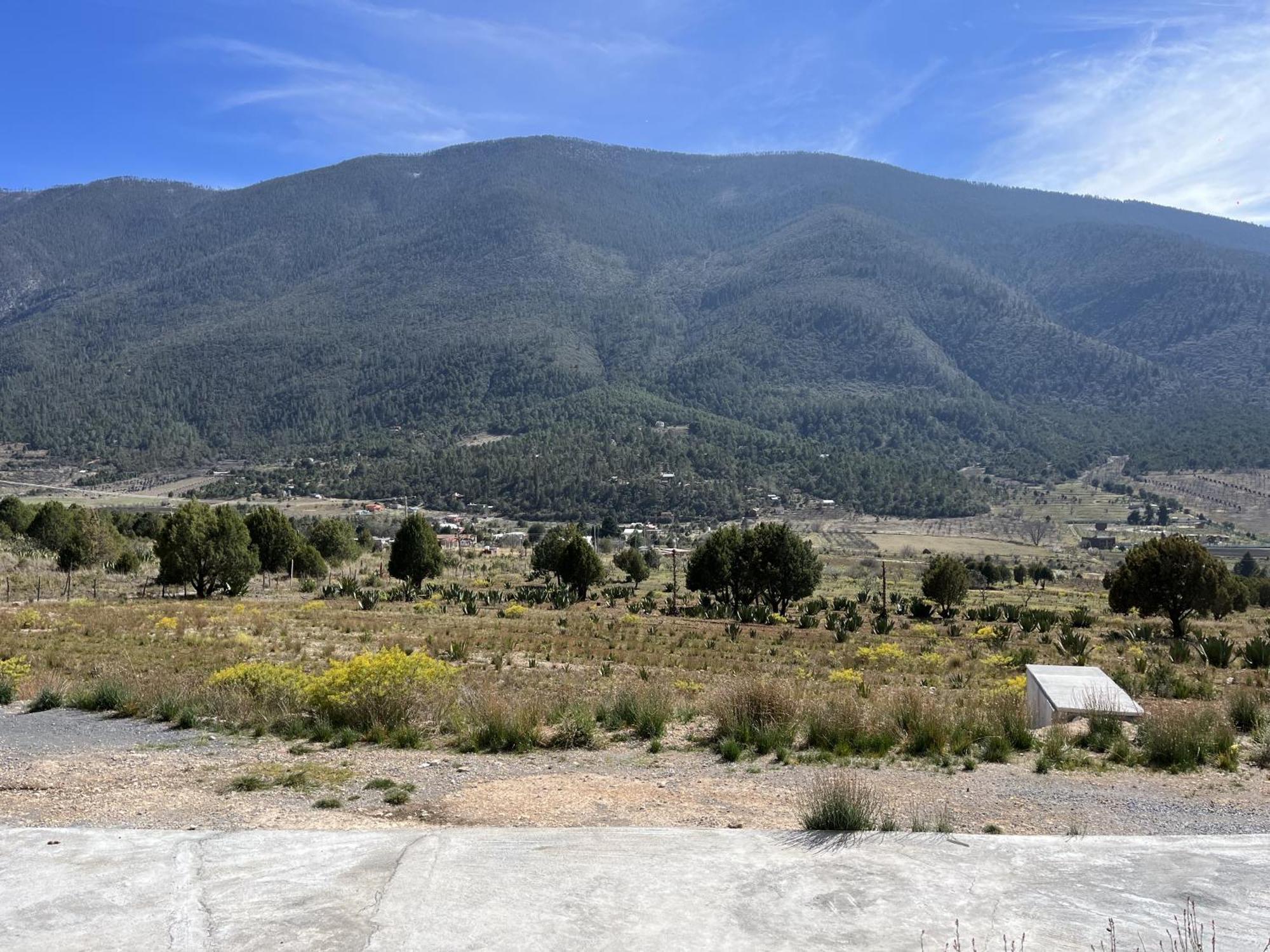 Camping En La Sierra De Arteaga Los Lirios Buitenkant foto