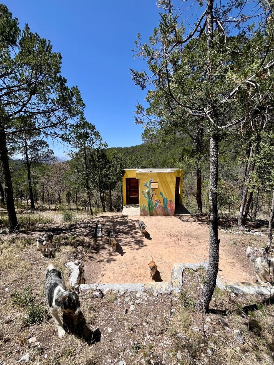 Camping En La Sierra De Arteaga Los Lirios Buitenkant foto