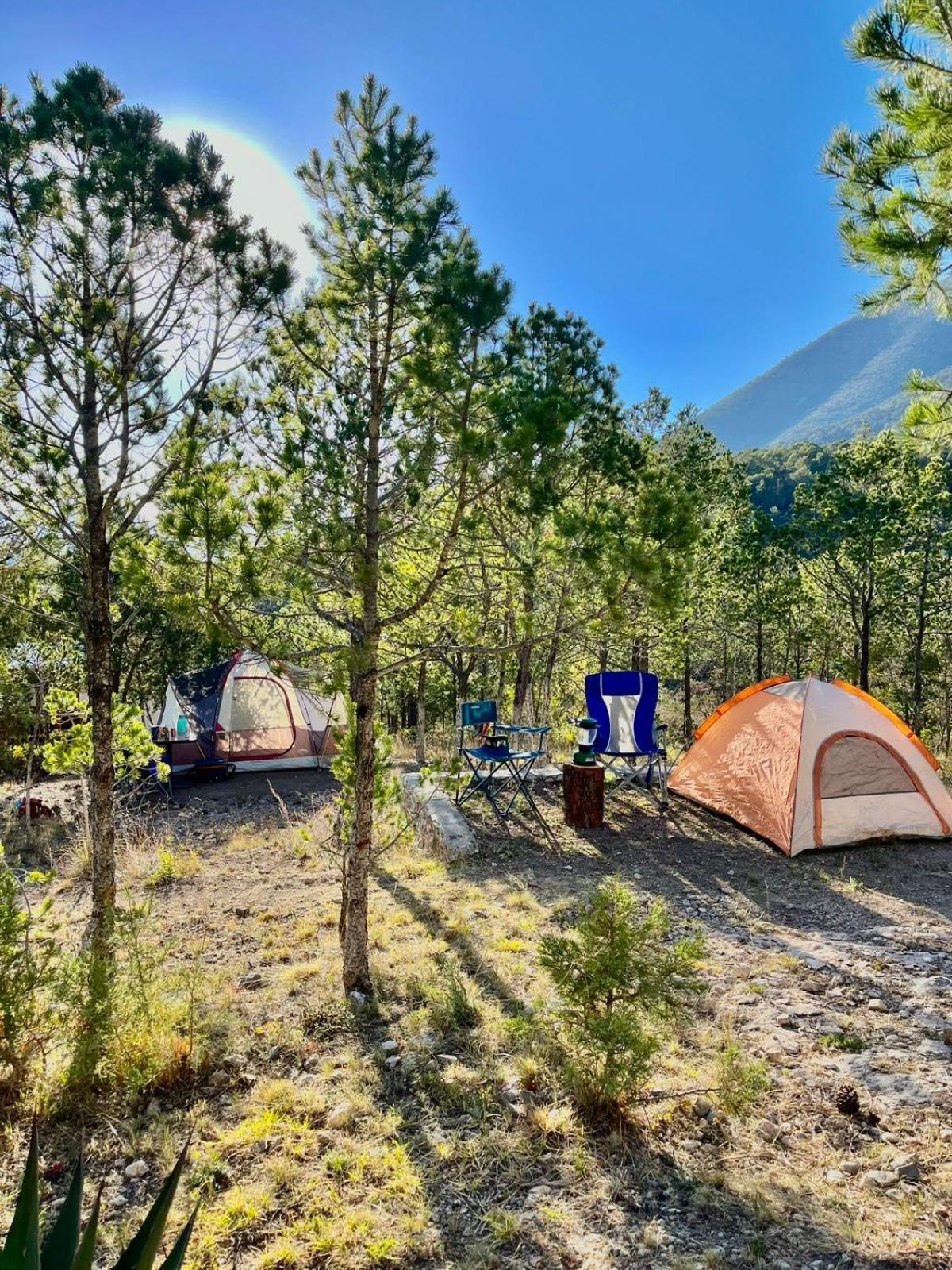 Camping En La Sierra De Arteaga Los Lirios Buitenkant foto